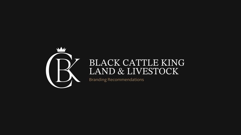 Black Cattle King brand guidelines — Cover