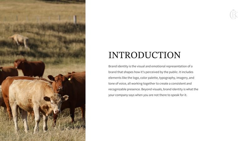 Black Cattle King brand guidelines — Introduction