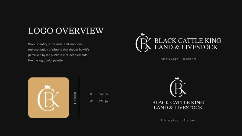 Black Cattle King brand guidelines — Logo overview