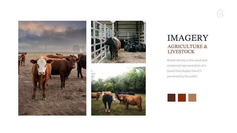 Black Cattle King brand guidelines — Imagery direction
